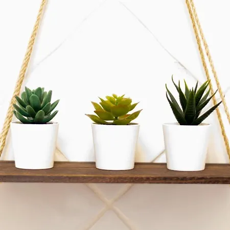 Ariome Playa Blanca (Lanzarote)