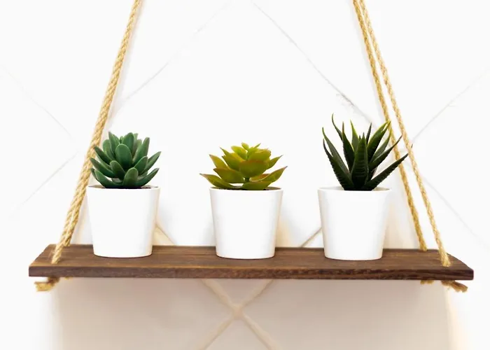 Ariome 普拉亚布兰卡